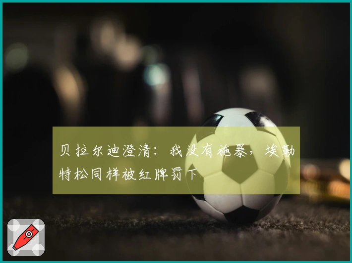 贝拉尔迪澄清：我没有施暴，埃勒特松同样被红牌罚下