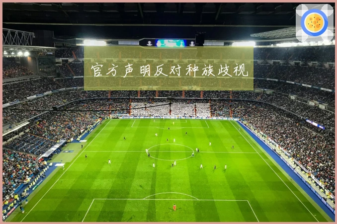 官方声明反对种族歧视